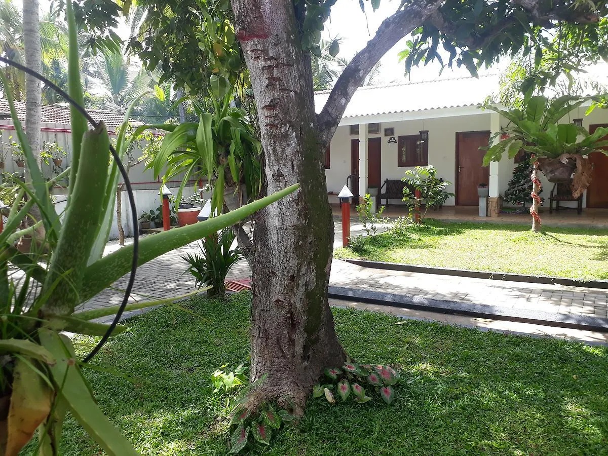 Villa 67 Negombo