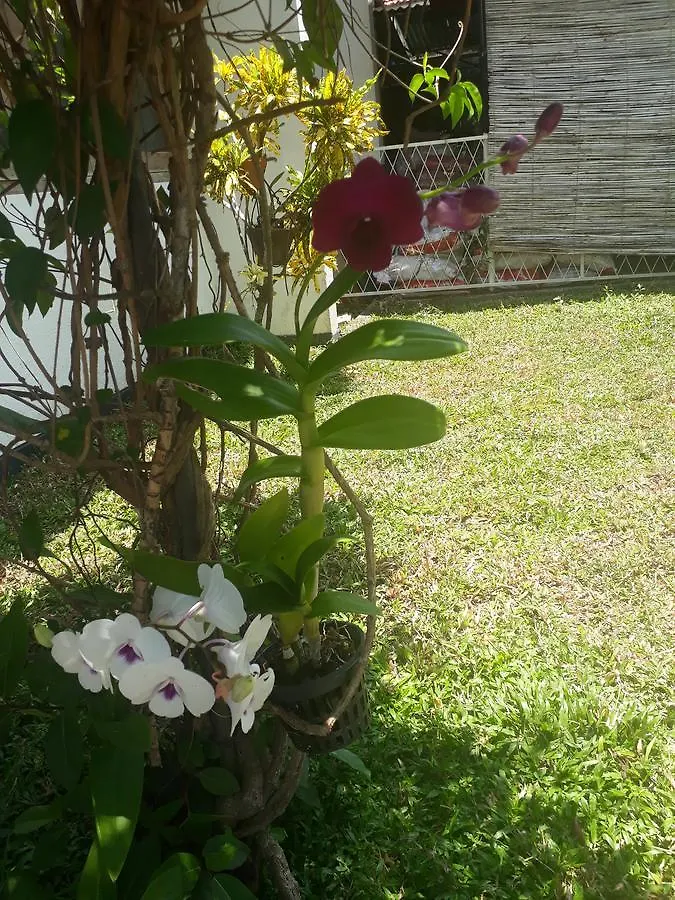 Villa 67 Negombo
