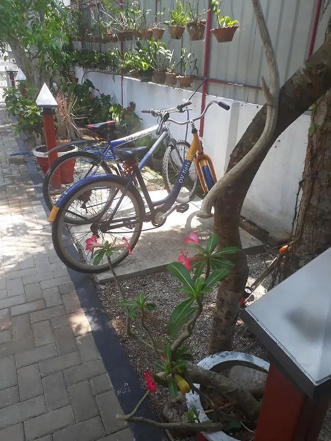 Oda ve Kahvaltı Villa 67 Negombo